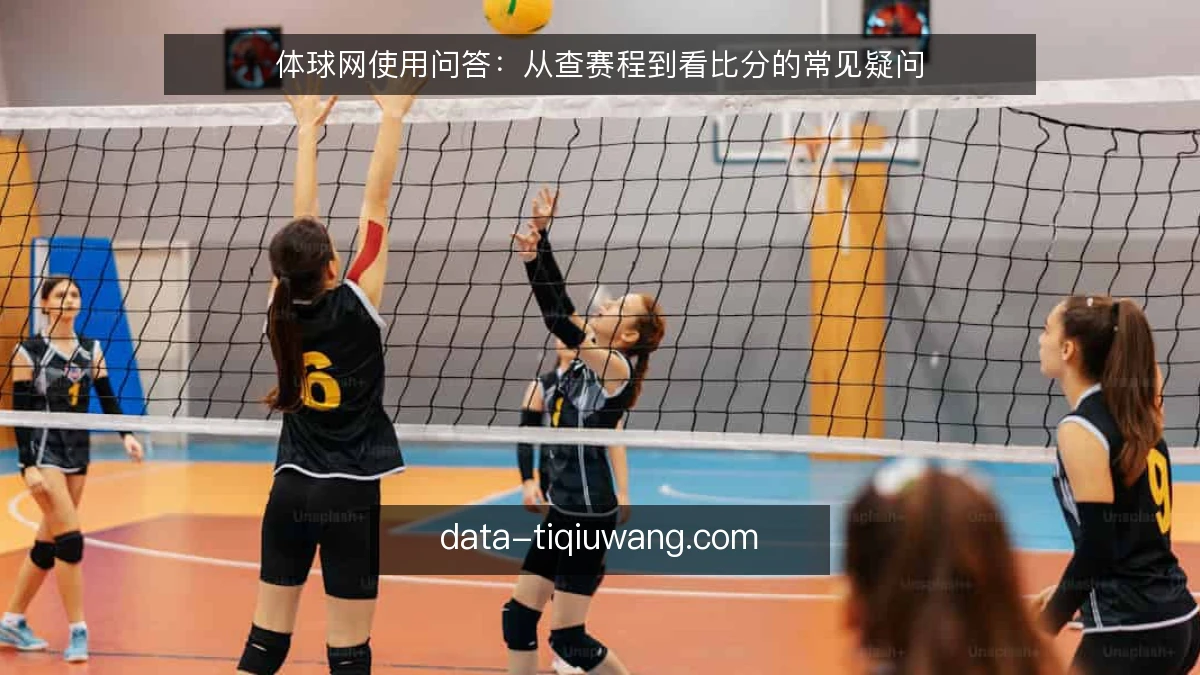体球网使用问答：从查赛程到看比分的常见疑问