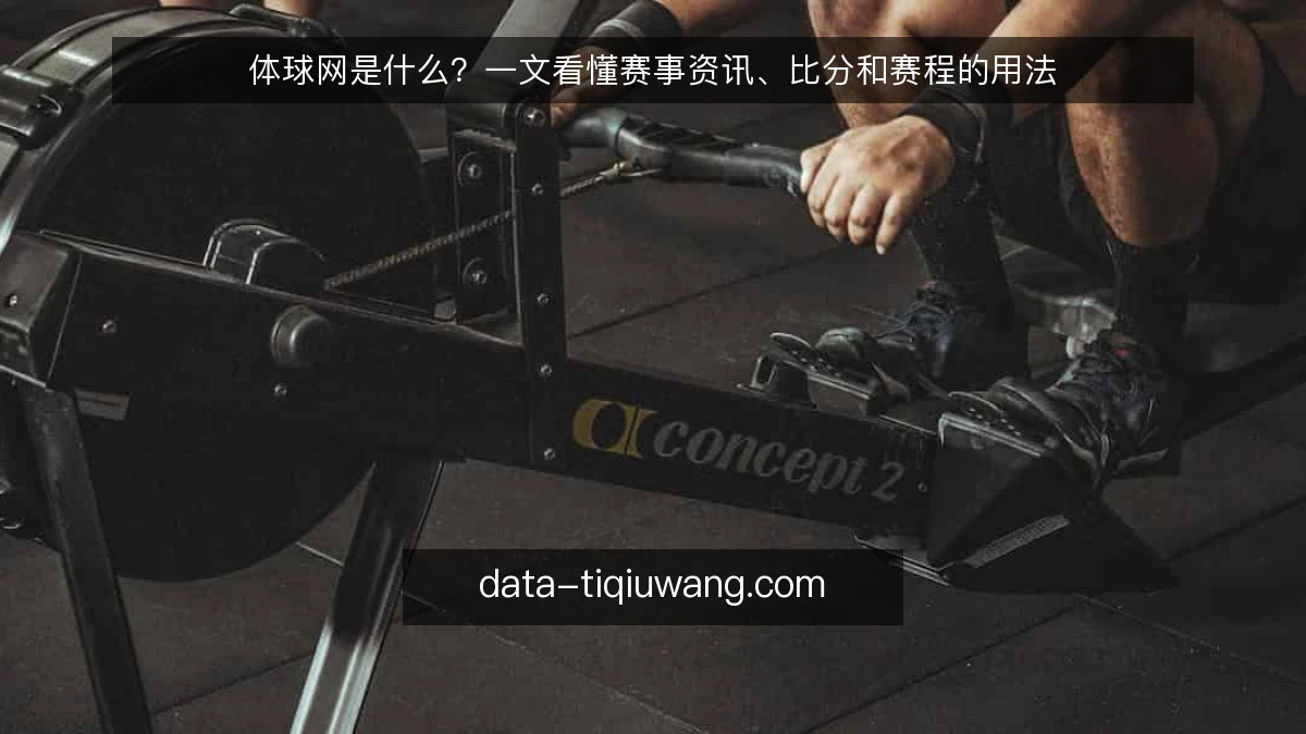 体球网是什么？一文看懂赛事资讯、比分和赛程的用法