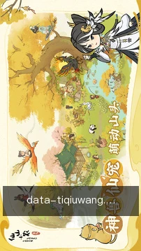 离线缓存观赛