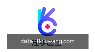 体球网