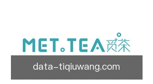 体球网